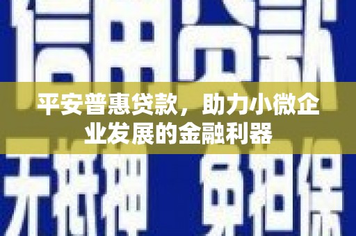 墨江平安普惠贷款，助力小微企业发展的金融利器