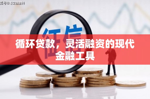 墨江循环贷款，灵活融资的现代金融工具