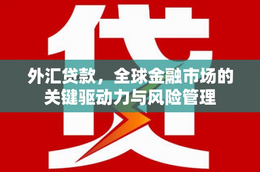 墨江外汇贷款，全球金融市场的关键驱动力与风险管理