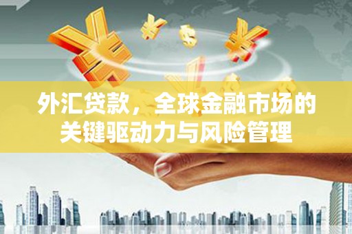 墨江外汇贷款，全球金融市场的关键驱动力与风险管理