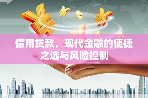 墨江信用贷款，现代金融的便捷之选与风险控制