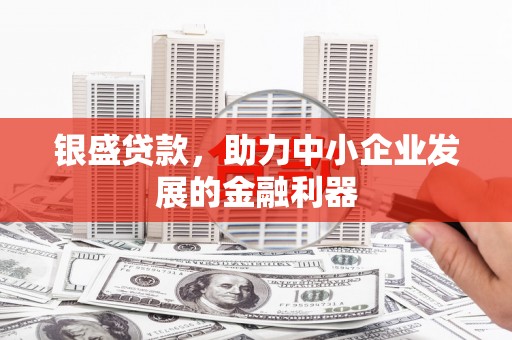 墨江银盛贷款，助力中小企业发展的金融利器