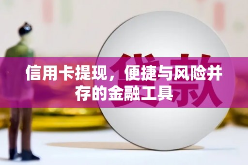 墨江信用卡提现，便捷与风险并存的金融工具
