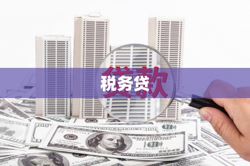 墨江税务贷