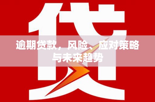 墨江逾期贷款，风险、应对策略与未来趋势