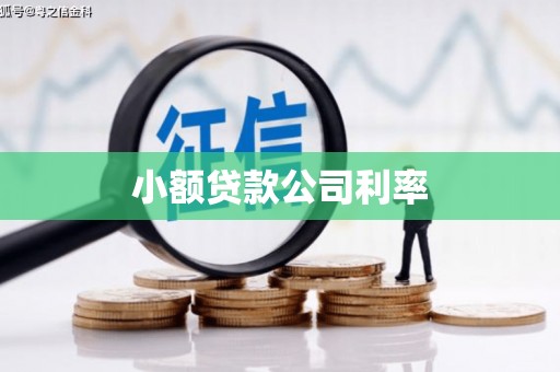 墨江小额贷款公司利率