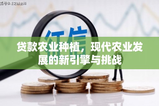 墨江贷款农业种植，现代农业发展的新引擎与挑战