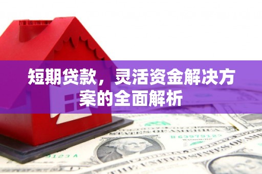 墨江短期贷款，灵活资金解决方案的全面解析