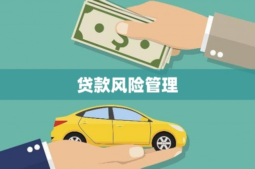 墨江贷款风险管理