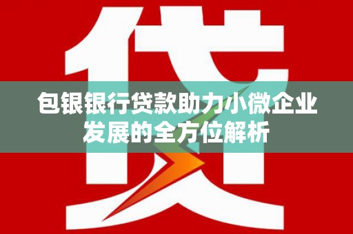 墨江包银银行贷款助力小微企业发展的全方位解析