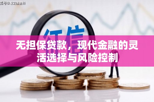 墨江无担保贷款，现代金融的灵活选择与风险控制