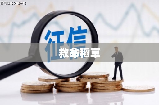 墨江救命稻草