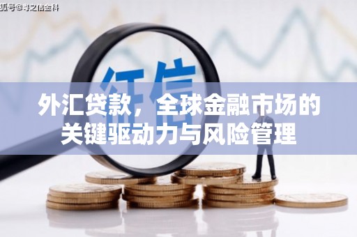 墨江外汇贷款，全球金融市场的关键驱动力与风险管理