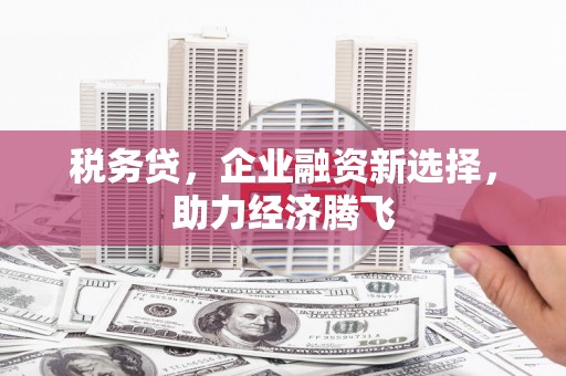 墨江税务贷，企业融资新选择，助力经济腾飞