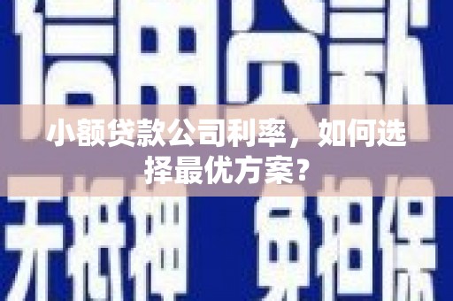 墨江小额贷款公司利率，如何选择最优方案？
