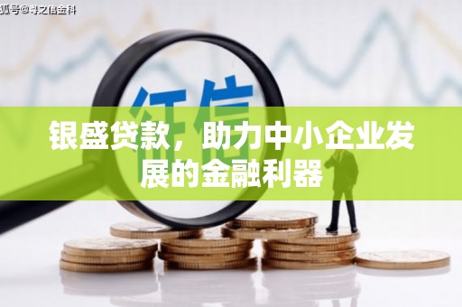 墨江银盛贷款，助力中小企业发展的金融利器