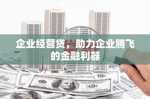 墨江企业经营贷，助力企业腾飞的金融利器