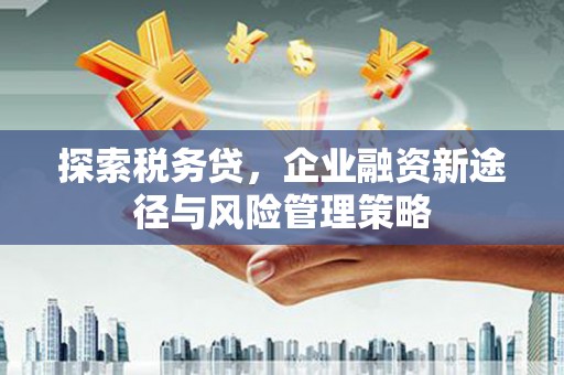 墨江探索税务贷，企业融资新途径与风险管理策略