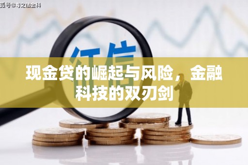 墨江现金贷的崛起与风险，金融科技的双刃剑