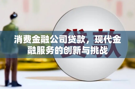 墨江消费金融公司贷款，现代金融服务的创新与挑战