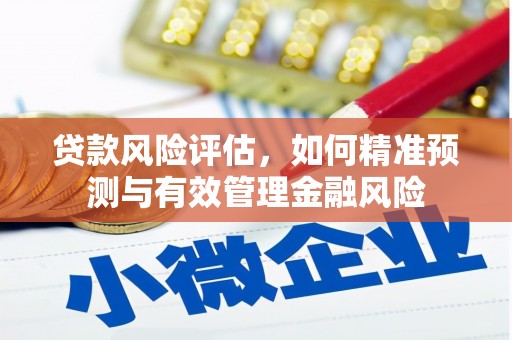 墨江贷款风险评估，如何精准预测与有效管理金融风险