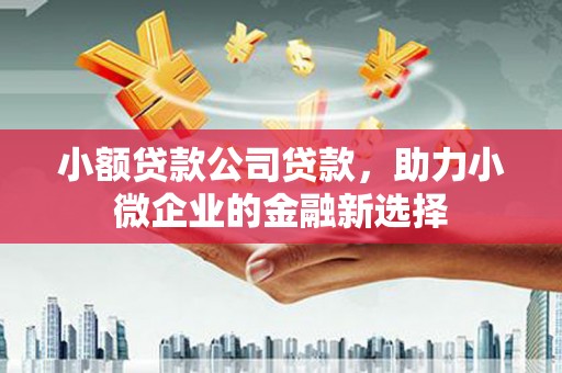 墨江小额贷款公司贷款，助力小微企业的金融新选择
