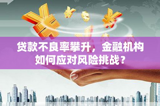 墨江贷款不良率攀升，金融机构如何应对风险挑战？