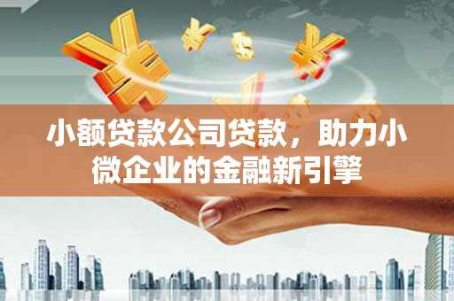 墨江小额贷款公司贷款，助力小微企业的金融新引擎