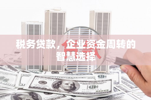 墨江税务贷款，企业资金周转的智慧选择