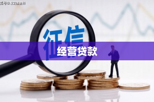 墨江经营贷款