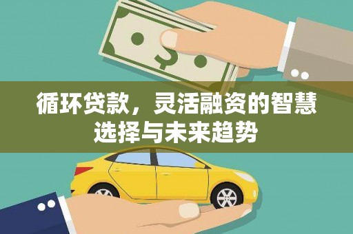 墨江循环贷款，灵活融资的智慧选择与未来趋势