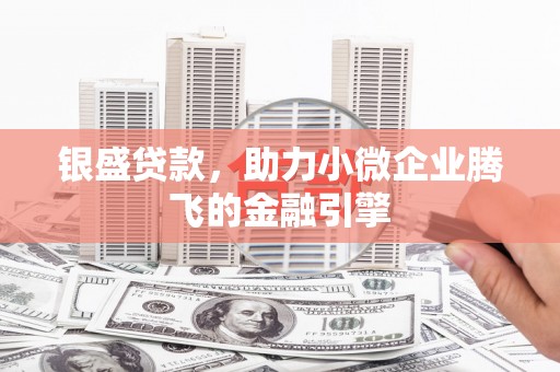 墨江银盛贷款，助力小微企业腾飞的金融引擎