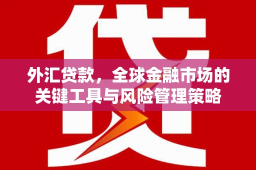 墨江外汇贷款，全球金融市场的关键工具与风险管理策略