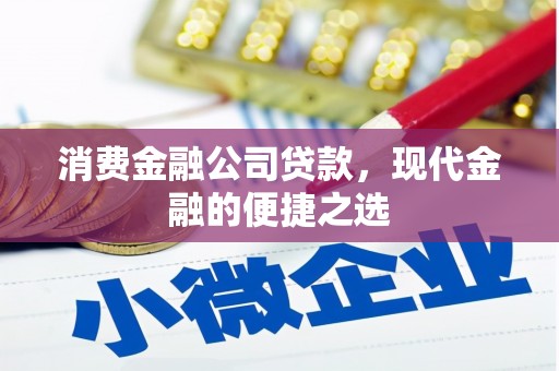 墨江消费金融公司贷款，现代金融的便捷之选