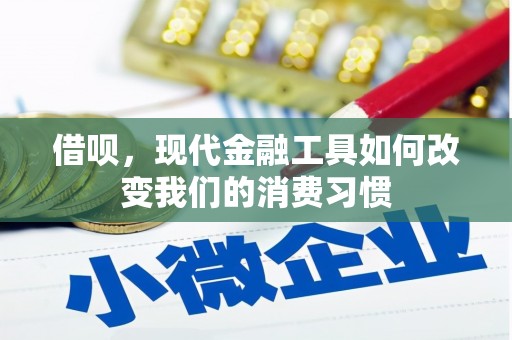 墨江借呗，现代金融工具如何改变我们的消费习惯