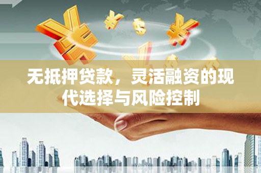 墨江无抵押贷款，灵活融资的现代选择与风险控制