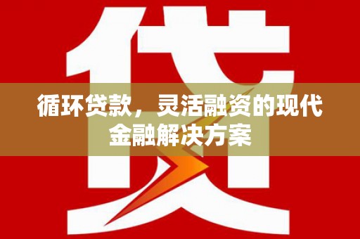 墨江循环贷款，灵活融资的现代金融解决方案