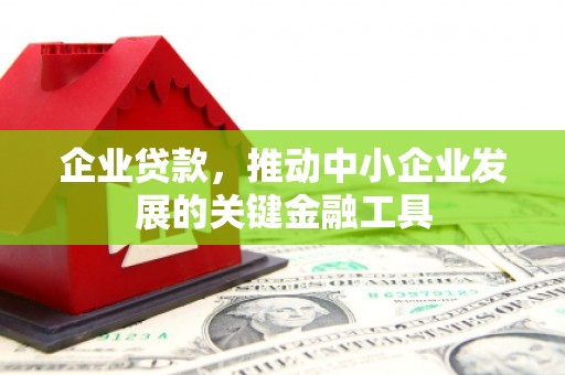 墨江企业贷款，推动中小企业发展的关键金融工具