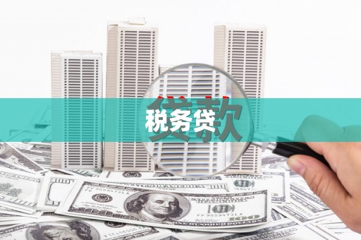 墨江税务贷