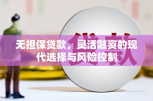 墨江无担保贷款，灵活融资的现代选择与风险控制