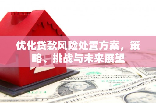 墨江优化贷款风险处置方案，策略、挑战与未来展望