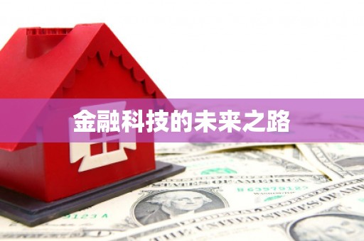 墨江金融科技的未来之路