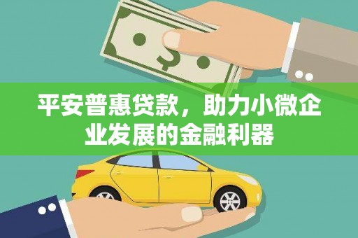 墨江平安普惠贷款，助力小微企业发展的金融利器