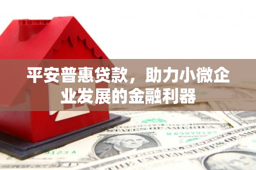 墨江平安普惠贷款，助力小微企业发展的金融利器