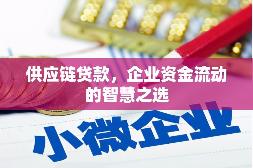墨江供应链贷款，企业资金流动的智慧之选