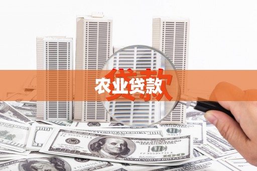 墨江农业贷款