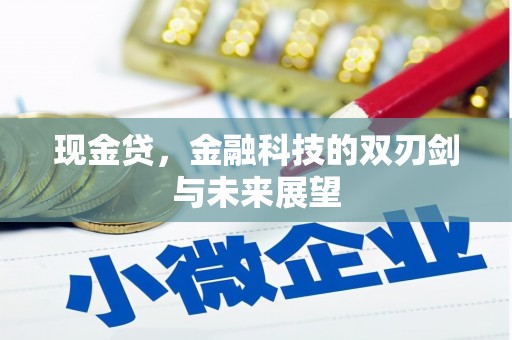墨江现金贷，金融科技的双刃剑与未来展望