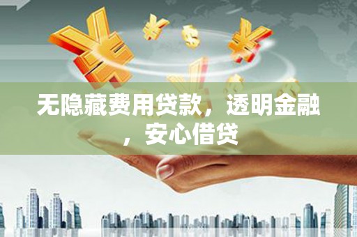 墨江无隐藏费用贷款，透明金融，安心借贷