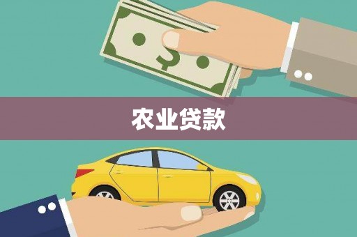 墨江农业贷款