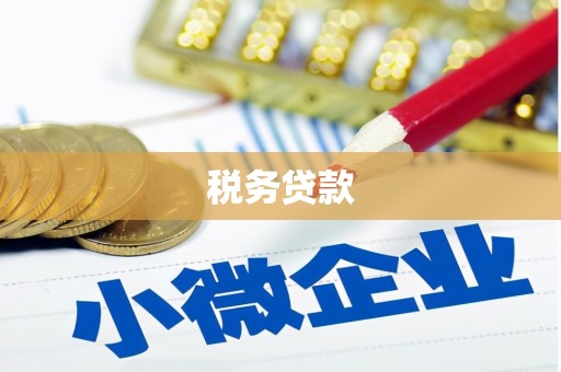 墨江税务贷款